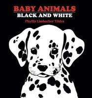 Phyllis Limbacher Tildes - Baby Animals Black and White - 9780881063134 - V9780881063134