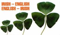  - Irish-English, English-Irish Dictionary - 9780902920477 - V9780902920477