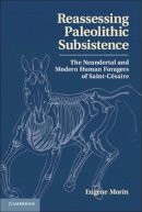 Eugène Morin - Reassessing Paleolithic Subsistence: The Neandertal and Modern Human Foragers of Saint-Césaire - 9781107023277 - V9781107023277