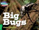 Claire Llewellyn - Cambridge Reading Adventures Big Bugs Green Band - 9781107550643 - V9781107550643