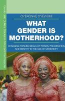 Oyeronke Oyewumi - What Gender is Motherhood?: Changing Yoruba Ideals of Power, Procreation, and Identity in the Age of Modernity - 9781349580514 - V9781349580514