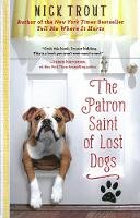 Dr Nick Trout - The Patron Saint of Lost Dogs: A Novel - 9781401310882 - V9781401310882