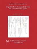 David K. Loydell - Special Papers in Palaeontology, Graptolites from the Upper Ordovician and Lower Silurian of Jordan - 9781405179782 - V9781405179782