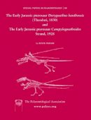 Kevin Padian - Early Jurassic Pterosaur Dorygnathus Banthensis (Theodori, 1830) and the Early Jurassic Pterosaur Campylognathoides Strand, 1928 - 9781405192248 - V9781405192248