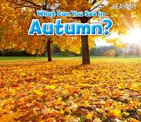 Sian Smith - What Can You See In Autumn? - 9781406283266 - V9781406283266
