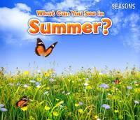 Sian Smith - What Can You See In Summer? - 9781406283280 - V9781406283280