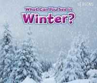 Sian Smith - What Can You See In Winter? - 9781406283297 - V9781406283297