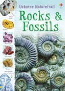 Struan Reid - Rocks and Fossils - 9781409527695 - V9781409527695