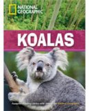 Waring, Rob; National Geographic - Koalas - 9781424045976 - V9781424045976