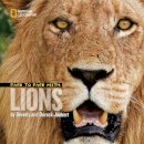 Dereck Joubert - Face to Face with Lions (Face To Face ) - 9781426306273 - V9781426306273