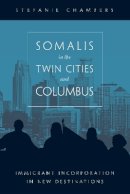 Stefanie Chambers - Somalis in the Twin Cities and Columbus: Immigrant Incorporation in New Destinations - 9781439914427 - V9781439914427
