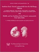 Thomas Brühwiler - Special Papers in Palaeontology, Smithian (Early Triassic) ammonoids from the Salt Range (Pakistan) and Spiti (India) - 9781444367133 - V9781444367133