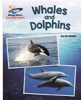 Julia Cameron - Reading Planet - Whales and Dolphins - White: Galaxy - 9781471877902 - V9781471877902