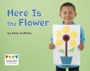 Kelly Gaffney - Here is the Flower (Engage Literacy: Engage Literacy Pink) - 9781474715089 - V9781474715089