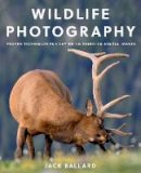 Jack Ballard - Wildlife Photography: Proven Techniques for Capturing Stunning Digital Images - 9781493029556 - V9781493029556