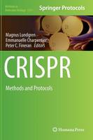 Magnus Lundgren (Ed.) - CRISPR: Methods and Protocols - 9781493926862 - V9781493926862