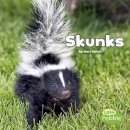 Mari Schuh - Skunks (Black and White Animals) - 9781515736240 - V9781515736240