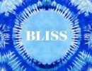 Steve Schapiro - Bliss: Transformational Festivals & the Neo Hippie - 9781576877630 - V9781576877630
