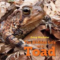 Doug Wechsler - The Hidden Life of a Toad - 9781580897389 - V9781580897389