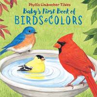 Phyllis Limbacher Tildes - Baby's First Book of Birds & Colors - 9781580897426 - V9781580897426