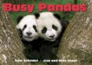 John Schindel - Busy Pandas - 9781582462592 - V9781582462592