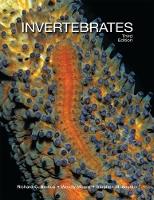 Richard C. Brusca, Wendy Moore, Stephen M. Shuster - Invertebrates, Third Edition - 9781605353753 - V9781605353753