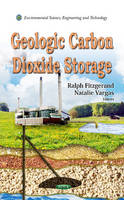 Sally Rooney - Geologic Carbon Dioxide Storage - 9781621001690 - V9781621001690