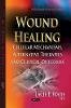 Lacie E Wade - Wound Healing: Cellular Mechanisms, Alternative Therapies and Clinical Outcomes (Public Health in the 21st Century) - 9781634634557 - V9781634634557