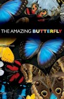 Robin Boyd - The Amazing Butterfly (Pack of 25) - 9781682160077 - V9781682160077
