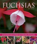 Andrew Mikolajski - Fuchsias: an Illustrated Guide to Varieties, Cultivation and Care, with Step-by-step Instructions and More Than 130 Beautiful Photographs - 9781780192376 - V9781780192376
