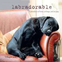 Villager Jim - Labradorable: Labradors at home, at large, and at play - 9781782492757 - V9781782492757