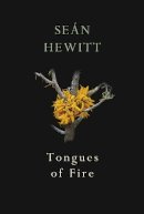 Seán Hewitt - Tongues of Fire - 9781787332263 - 9781787332263