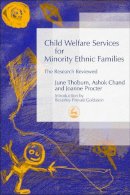 Ashok Chand - Child Welfare Services for Minority Ethnic Families: The Research Reviewed - 9781843102694 - V9781843102694