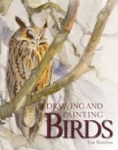 Tim Wootton - Drawing and Painting Birds - 9781847972248 - V9781847972248