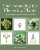 Anne Bebbington - Understanding the Flowering Plants: A Practical Guide for Botanical Illustrators - 9781847977588 - V9781847977588