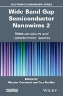 Vincent Consonni (Ed.) - Wide Band Gap Semiconductor Nanowires 2: Heterostructures and Optoelectronic Devices - 9781848216877 - V9781848216877