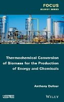 Anthony Dufour - Thermochemical Conversion of Biomass for the Production of Energy and Chemicals - 9781848218239 - V9781848218239