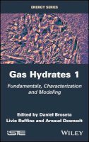 Daniel Broseta (Ed.) - Gas Hydrates 1: Fundamentals, Characterization and Modeling - 9781848219694 - V9781848219694