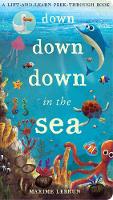 Jonathan Litton - Down Down Down in the Sea: A lift-and-learn peek-through book (Lift & Learn Peek Through Book) - 9781848575530 - V9781848575530