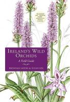 Susan Sex Brendan Sayers - Ireland's Wild Orchids: A Field Guide - 9781848891692 - KOG0006305
