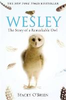 Stacey O´brien - Wesley: The Story of a Remarkable Owl - 9781849010580 - V9781849010580