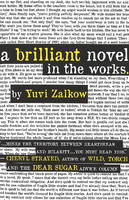 Yuvi Zalkow - Brilliant Novel in the Works - 9781849821650 - V9781849821650
