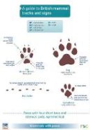 Simone Bullion - A Guide to British Mammal Tracks and Signs - 9781851538768 - V9781851538768