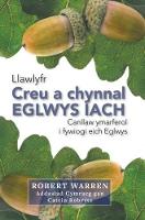 Robert Warren - Creu a Chynnal Eglwys Iach (Welsh Edition) - 9781859947982 - V9781859947982