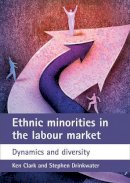 Ken Drink - Ethnic Minorities in the Labour Market - 9781861349590 - V9781861349590