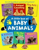 Armadillo - A Little Box of Baby Animals: Six Cute Boardbooks Packed With Pictures! - 9781861476395 - V9781861476395