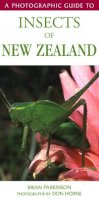 B Parkinson & D Horne - A Photographic Guide to Insects of New Zealand (Photographic Guide to) - 9781869661519 - V9781869661519