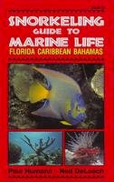 Paul Humann - Snorkeling Guide to Marine Life - 9781878348104 - V9781878348104