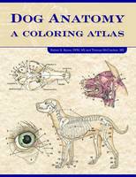 Kainer, Robert, Mccraken, Thomas O. - Dog Anatomy: A Coloring Atlas - 9781893441170 - V9781893441170