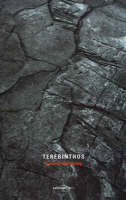 Gordon Walmsley - Terebinthos:  Poems and Stone Fragments - 9781897648469 - KHS1010712